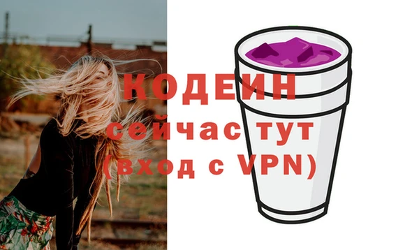 PSILOCYBIN Ельня