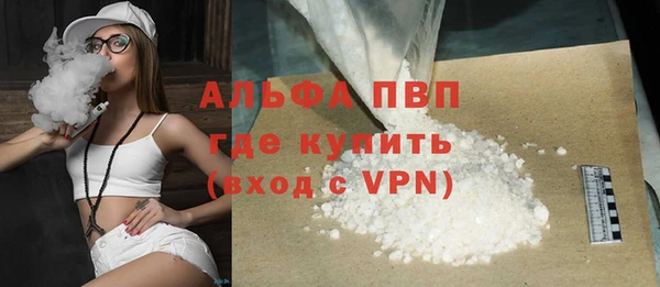 PSILOCYBIN Ельня