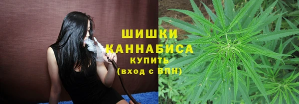 дмт Елизово