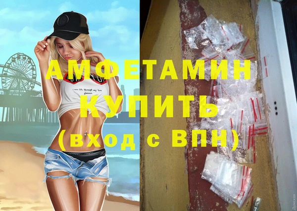 PSILOCYBIN Ельня