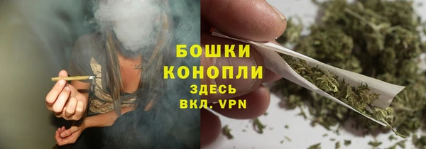 дмт Елизово