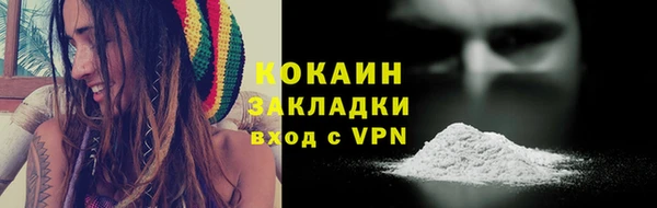 дмт Елизово
