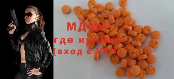 PSILOCYBIN Ельня