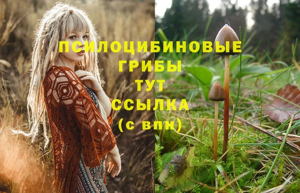 дмт Елизово