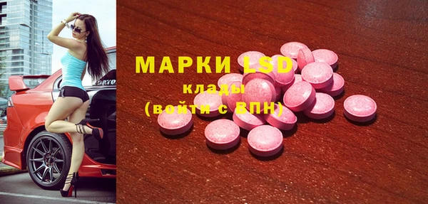 PSILOCYBIN Ельня
