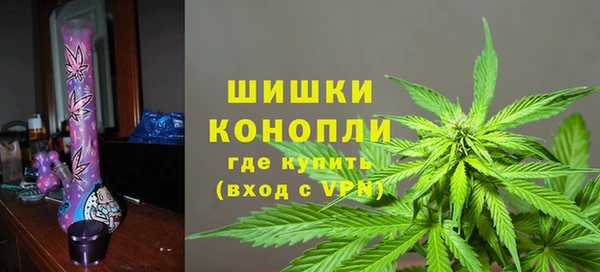 PSILOCYBIN Ельня