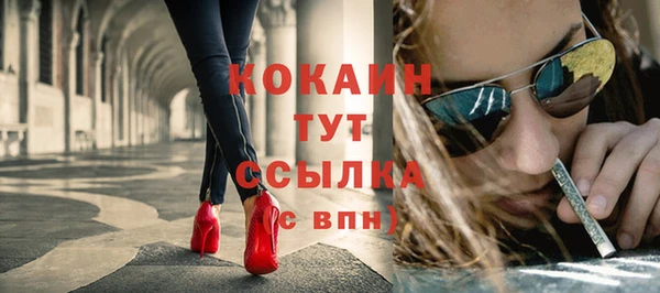 дмт Елизово