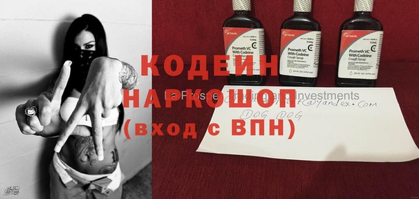 PSILOCYBIN Ельня