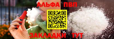 спайс Кингисепп